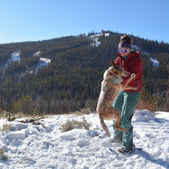 Meet your Posher, Annalise - Picture 5 of 5